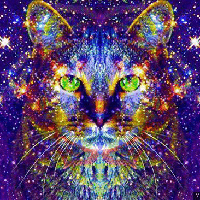 Cristhian Galvez Cortez的照片