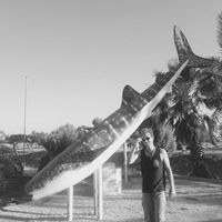 Alessio Grossi's Photo