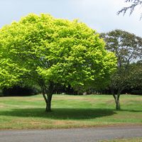 Sümeyye Nur's Photo