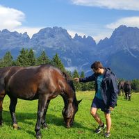 Ribera Soriano的照片