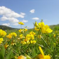 Erika Dejeufosse's Photo