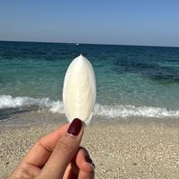 Saham Jalali's Photo