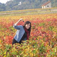 JULLS.GONZALEZ的照片