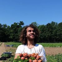 Le foto di Ethan Aronson