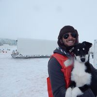 Фотографии пользователя Steven Lassman