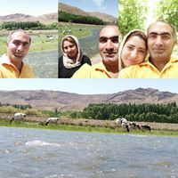 Peyman Aminnejad的照片