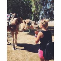 Šejna Malanović的照片