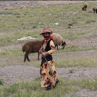 Sophia Bambina's Photo