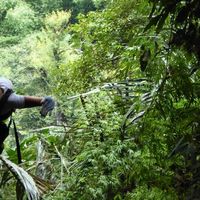 Le foto di Frédérique Henry