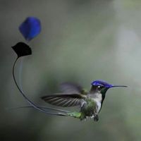 Fotos von Furkan Yanmaz