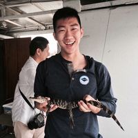 Zdjęcia użytkownika Noah Yang