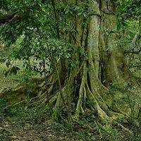 Фотографии пользователя Tina Peter