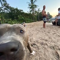 Dilek  Kaya的照片