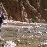 Laura Maria Graziano的照片