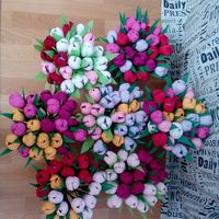 Lora Larisa的照片