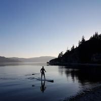 Neil Mackenzie's Photo