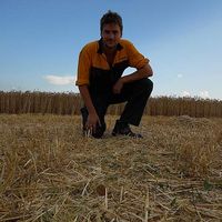 Tom Willaert's Photo