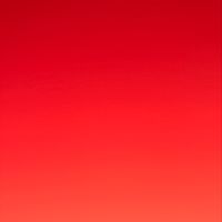 Sidiq Sidiq的照片