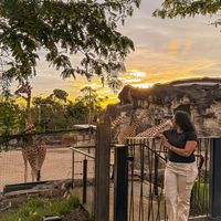 Ximena Mosquera's Photo