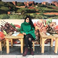 Shaghayegh Daneshnia的照片