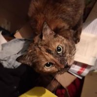 Patrice Renaux's Photo