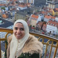 Youmna Elgabry的照片