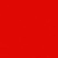 Engy Moustafa的照片