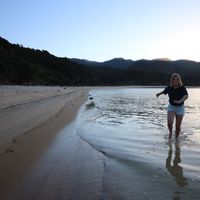 Jill Scholz的照片