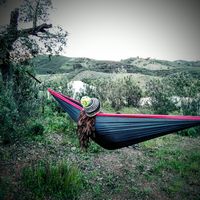 Rachel Swann's Photo