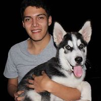 Omar Abel Márquez Vergara's Photo