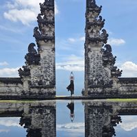 Summer apricota's Photo