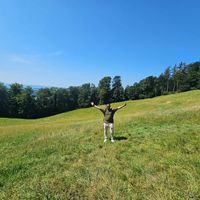 Kiran Vijayakumar's Photo