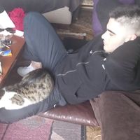 Photos de George Tzagkarakh