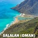 Salalah Trip From Thursday To Sunday By Road 的照片