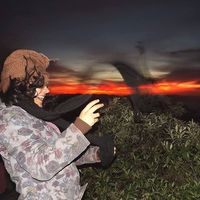 Angélica Rodrigues的照片