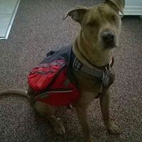 Antonio Camargo的照片