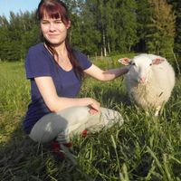 Zdjęcia użytkownika Emilia Sillanpää