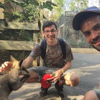 Paulo Piçarra's Photo