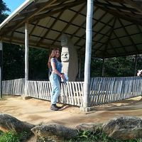 América Felina的照片