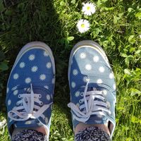 Monika Orlikowska的照片