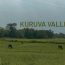 Kuruvavalley 's picture