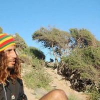 mohamed surf的照片