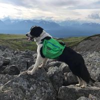 Brian Cantor的照片