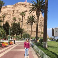 Andrea Morales Valenzuela's Photo