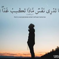 Fotos de Mohamed Badawi