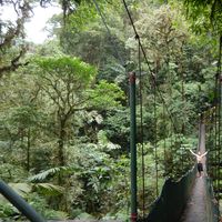 Bryan Mandella的照片