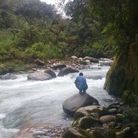 cristian mena的照片