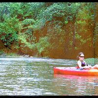 Sarah Carton的照片