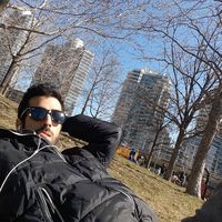 Le foto di Roy Hillel