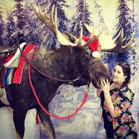 Le foto di Nikki Stein